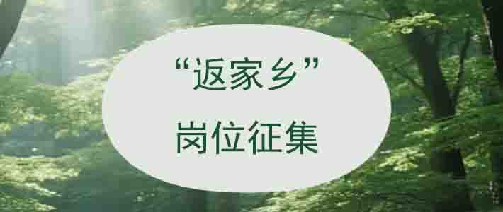 盘龙区2025年寒假大学生“返家乡”社会实践活动岗位征集的通知