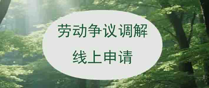劳动争议调解线上申请